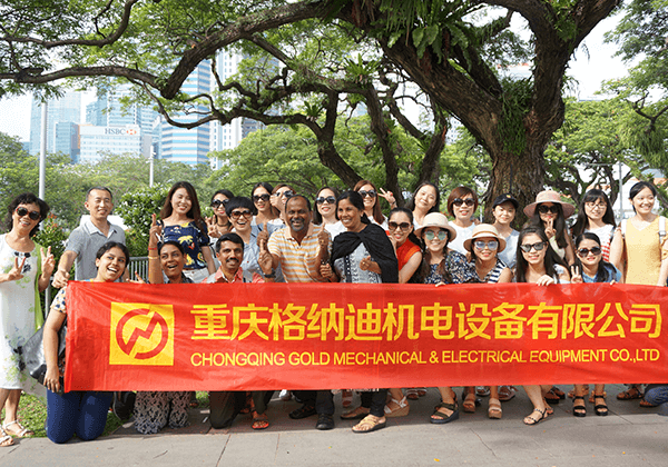 गतिविधि